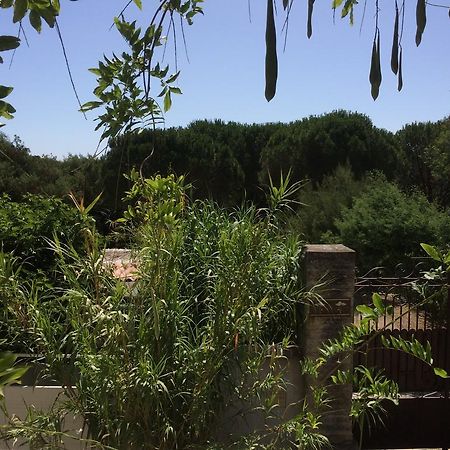 Maison D'Elie Saint Tropez Bagian luar foto