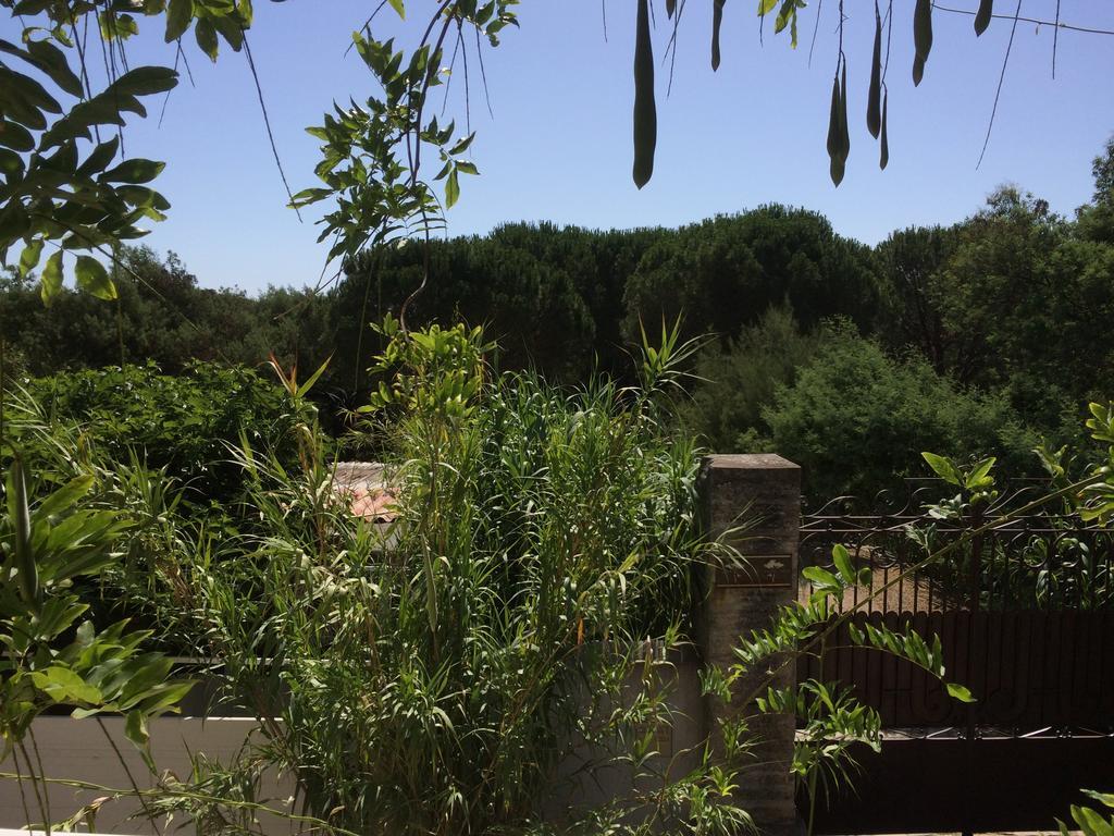 Maison D'Elie Saint Tropez Bagian luar foto